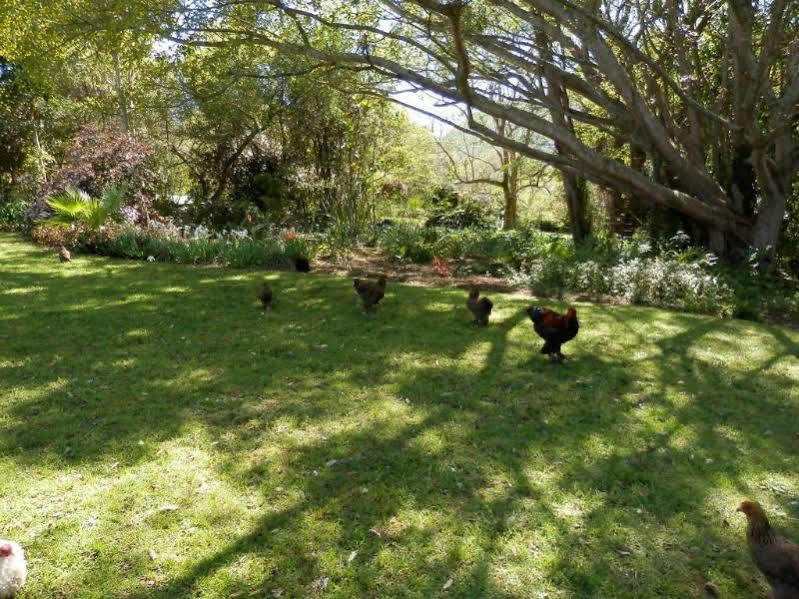 Braeside Guest House (Adults Only) Swellendam Zewnętrze zdjęcie